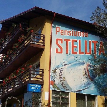 Pensiunea Steluta Предеал Екстериор снимка